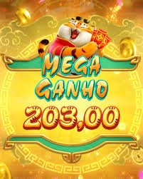 big win entrar